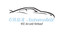 Logo V & S Automobile